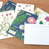 Herbarium Postcards